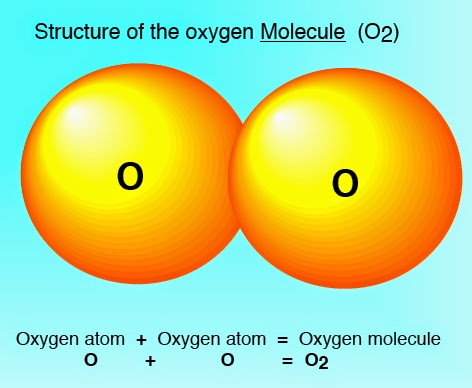 Is oxygen made up of molecules or atoms