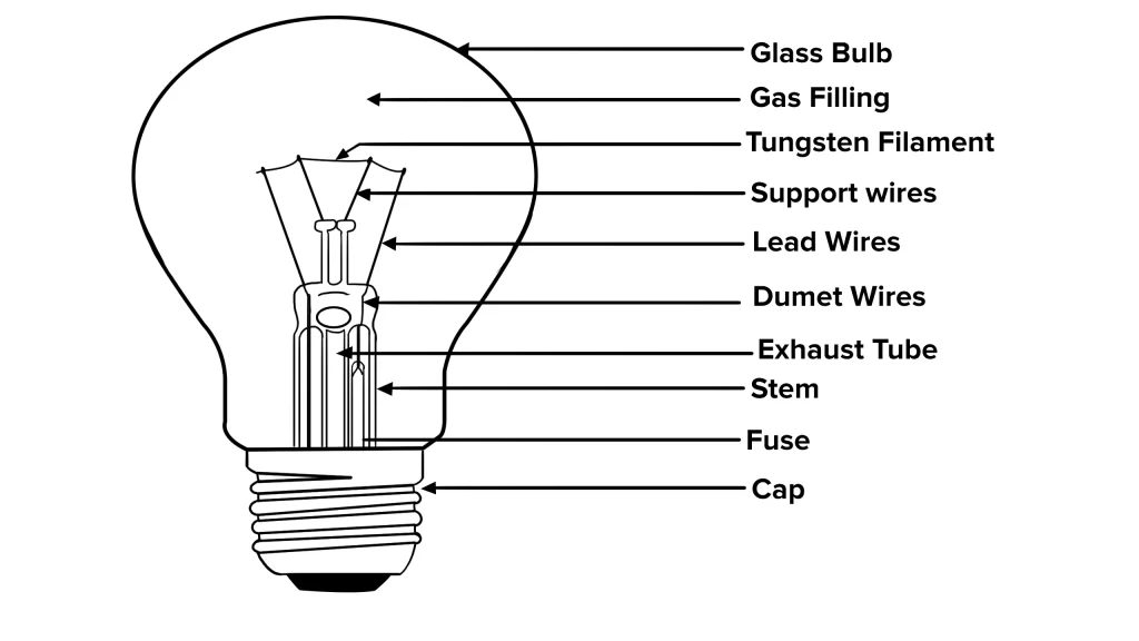 Uses of light bulbs and their structure | Science online