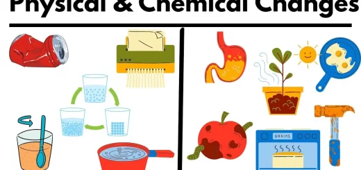 Physical and chemical changes