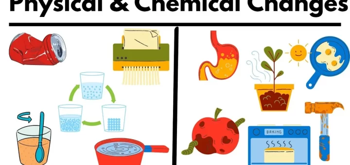 Physical and chemical changes