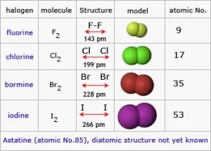 Halogens 