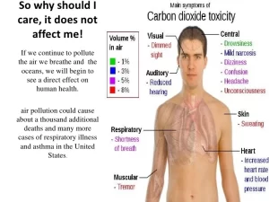 Disadvantages of carbon dioxide