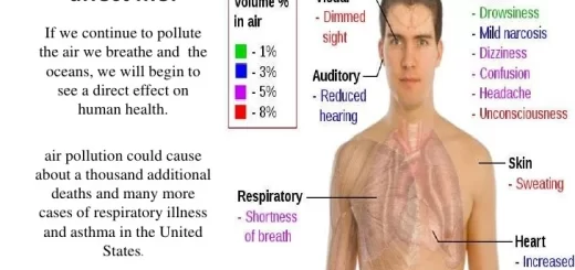 Disadvantages of carbon dioxide