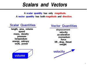 Types of scalar physical quantity and vector physical quantity