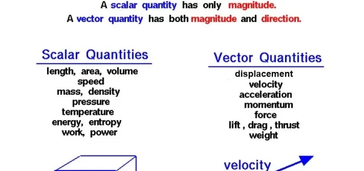 Types of scalar physical quantity and vector physical quantity