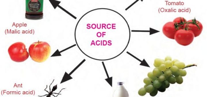 Mineral acids | Science online