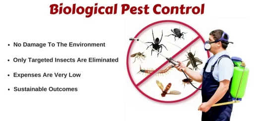 Biological Pest Control