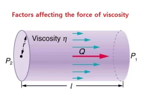 Factors affecting the force of viscosity