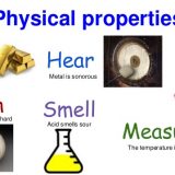 The function of the small intestine in the human digestive system ...