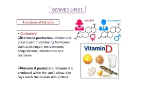 Derived lipids