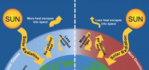 Components of Earth's atmosphere and Importance of them