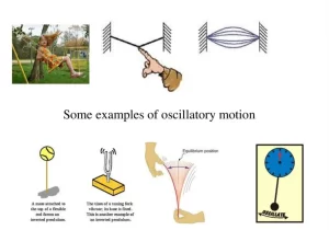 Examples of oscillatory motion