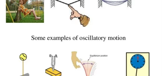 Examples of oscillatory motion