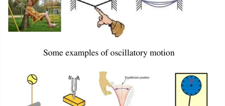 Examples of oscillatory motion