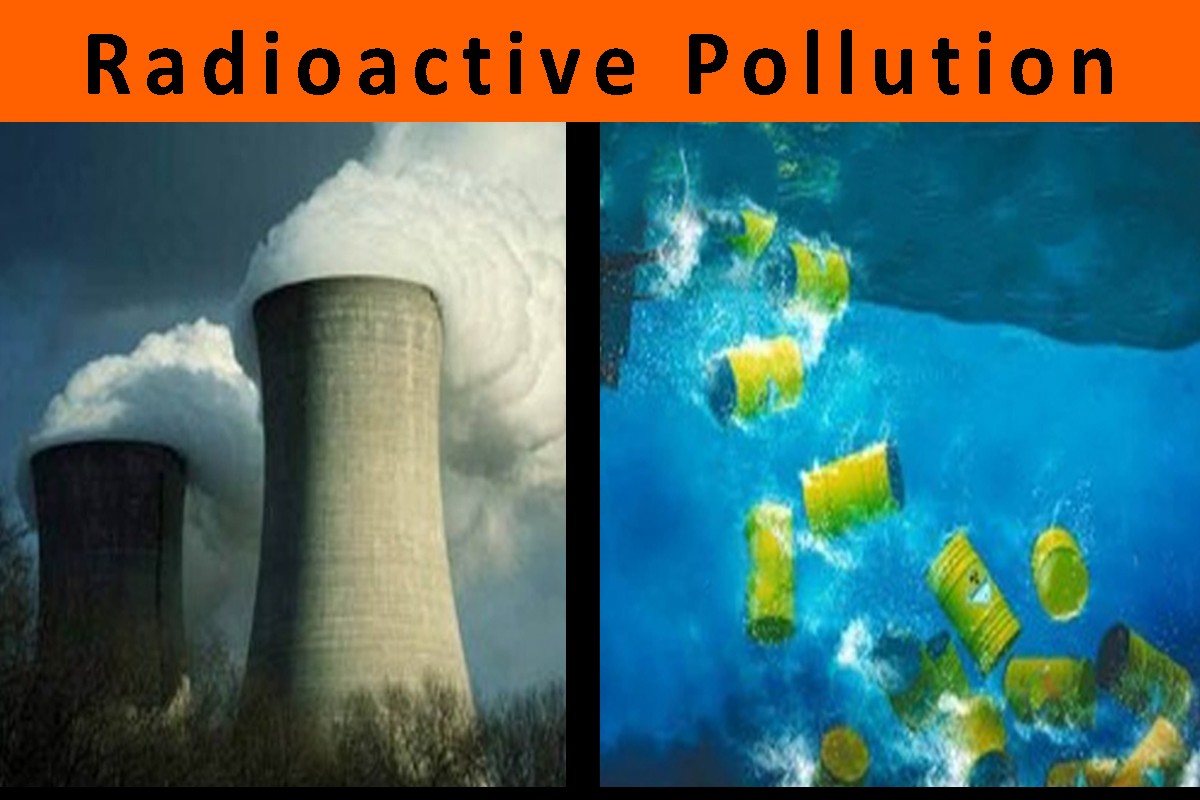 effects of radioactive pollution on animals