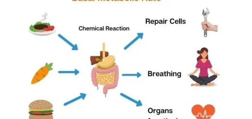 Basal metabolic rate