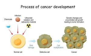 Cancer genetics