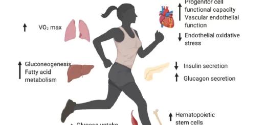 Effect of Aging on body systems