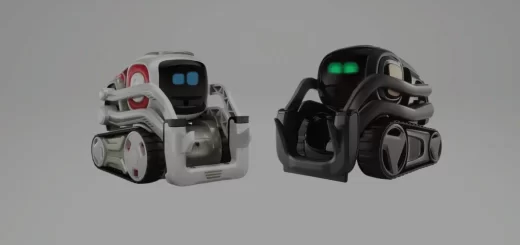 Vector vs Cozmo